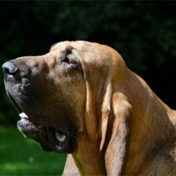 DSC_8699 web material