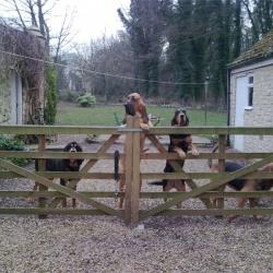 Image007