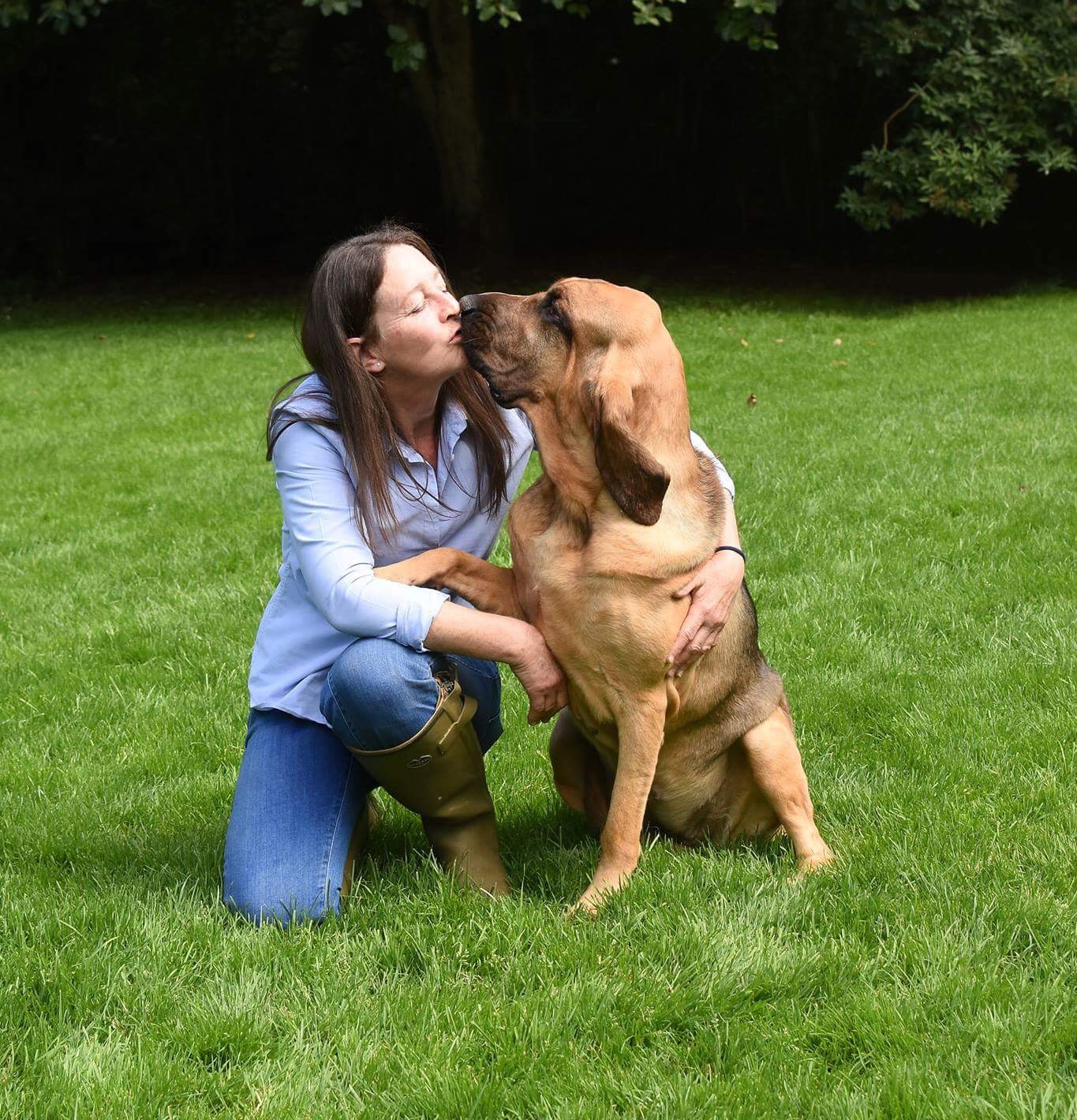 Graceminster Patience