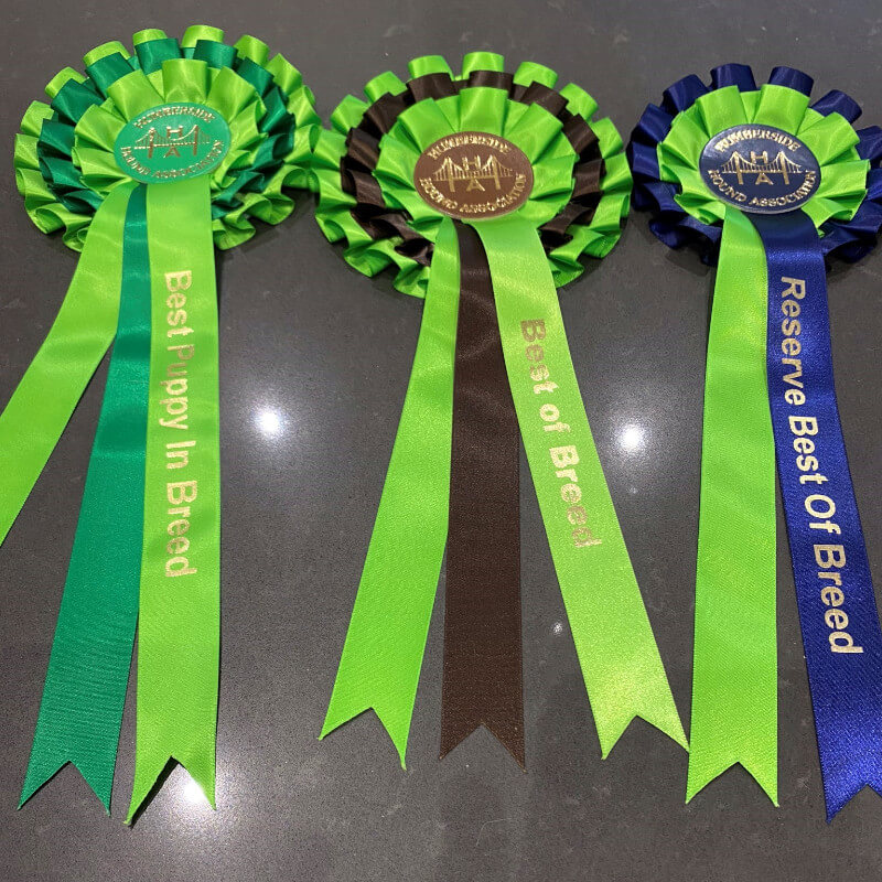 Humberside Hound Open Show Awards
