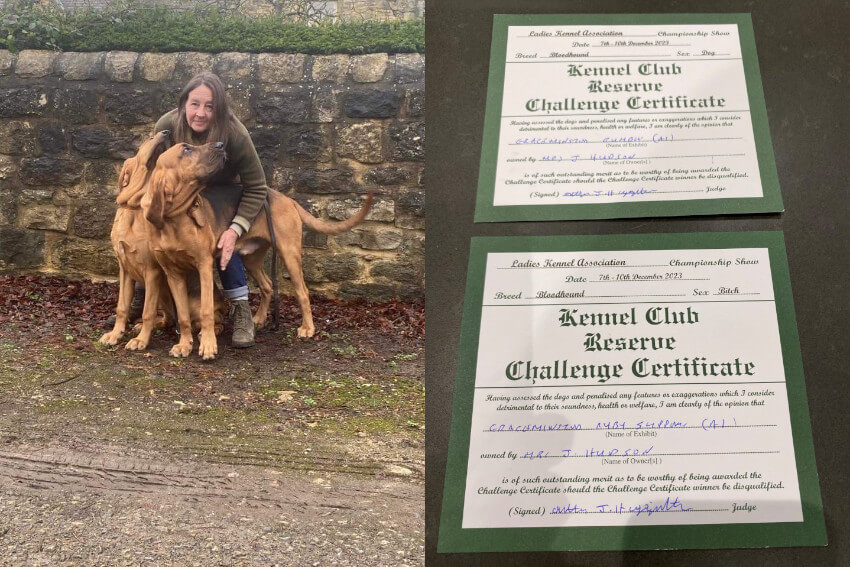 First Championship Show