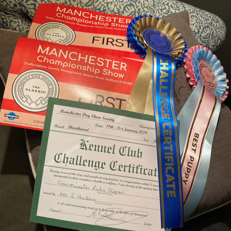 Manchester Championship Show